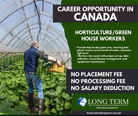 long term recruiting and development corp|LONG TERM RECRUITING AND DEVELOPMENT CORP .